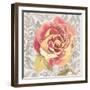 Blossom of Lush Pink 1-Megan Swartz-Framed Art Print