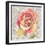 Blossom of Lush Pink 1-Megan Swartz-Framed Art Print