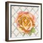 Blossom of Lush Pink 2-Megan Swartz-Framed Art Print