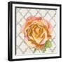 Blossom of Lush Pink 2-Megan Swartz-Framed Art Print