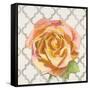 Blossom of Lush Pink 2-Megan Swartz-Framed Stretched Canvas