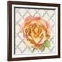 Blossom of Lush Pink 2-Megan Swartz-Framed Art Print