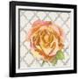 Blossom of Lush Pink 2-Megan Swartz-Framed Art Print