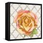 Blossom of Lush Pink 2-Megan Swartz-Framed Stretched Canvas