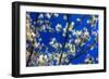 Blossom on Blue, 2018-Helen White-Framed Giclee Print