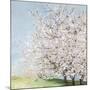 Blossom Orchard-Allison Pearce-Mounted Art Print