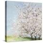 Blossom Orchard-Allison Pearce-Stretched Canvas