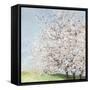 Blossom Orchard-Allison Pearce-Framed Stretched Canvas