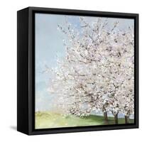 Blossom Orchard-Allison Pearce-Framed Stretched Canvas