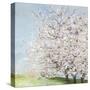 Blossom Orchard-Allison Pearce-Stretched Canvas