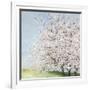 Blossom Orchard-Allison Pearce-Framed Premium Giclee Print