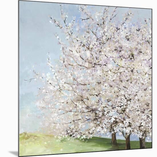 Blossom Orchard-Allison Pearce-Mounted Premium Giclee Print