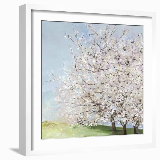 Blossom Orchard-Allison Pearce-Framed Art Print