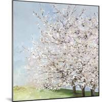 Blossom Orchard-Allison Pearce-Mounted Art Print