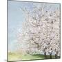 Blossom Orchard-Allison Pearce-Mounted Art Print