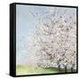 Blossom Orchard-Allison Pearce-Framed Stretched Canvas