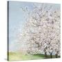 Blossom Orchard-Allison Pearce-Stretched Canvas