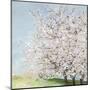 Blossom Orchard-Allison Pearce-Mounted Art Print