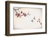 Blossom Painting-yangzai-Framed Photographic Print