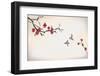 Blossom Painting-yangzai-Framed Photographic Print