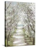 Blossom Pathway-Allison Pearce-Stretched Canvas