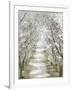 Blossom Pathway-Allison Pearce-Framed Art Print