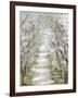 Blossom Pathway-Allison Pearce-Framed Art Print