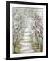 Blossom Pathway-Allison Pearce-Framed Art Print