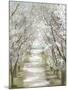 Blossom Pathway-Allison Pearce-Mounted Art Print