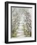 Blossom Pathway-Allison Pearce-Framed Art Print