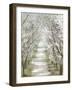 Blossom Pathway-Allison Pearce-Framed Art Print