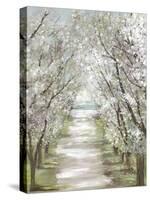 Blossom Pathway-Allison Pearce-Stretched Canvas