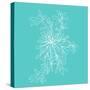 Blossom Pop Aqua-Jan Weiss-Stretched Canvas