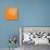 Blossom Pop Orange-Jan Weiss-Premium Giclee Print displayed on a wall