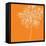 Blossom Pop Orange-Jan Weiss-Framed Stretched Canvas