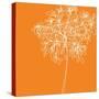 Blossom Pop Orange-Jan Weiss-Stretched Canvas