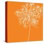 Blossom Pop Orange-Jan Weiss-Stretched Canvas