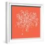 Blossom Pop Tangerine-Jan Weiss-Framed Art Print