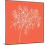 Blossom Pop Tangerine-Jan Weiss-Mounted Art Print