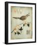 Blossom Recollection-Regina-Andrew Design-Framed Art Print