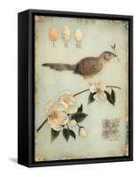 Blossom Recollection-Regina-Andrew Design-Framed Stretched Canvas