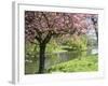 Blossom, Regents Park, London, England, United Kingdom-Ethel Davies-Framed Photographic Print