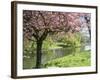 Blossom, Regents Park, London, England, United Kingdom-Ethel Davies-Framed Photographic Print