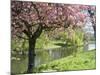 Blossom, Regents Park, London, England, United Kingdom-Ethel Davies-Mounted Photographic Print