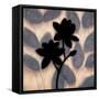 Blossom Silhouette II-Erin Lange-Framed Stretched Canvas