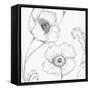 Blossom Sketches I-Daphne Brissonnet-Framed Stretched Canvas