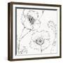 Blossom Sketches I-Daphne Brissonnet-Framed Art Print