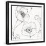 Blossom Sketches I-Daphne Brissonnet-Framed Art Print