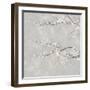 Blossom Spray III-Tania Bello-Framed Giclee Print