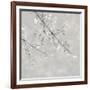 Blossom Spray IV-Tania Bello-Framed Giclee Print